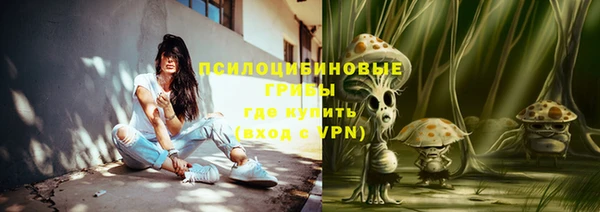 apvp Навашино