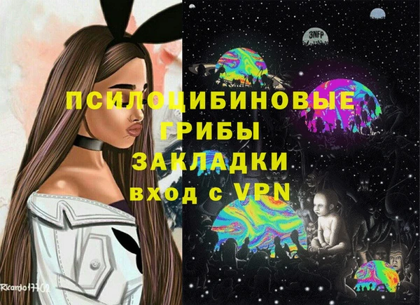 дурь Наволоки