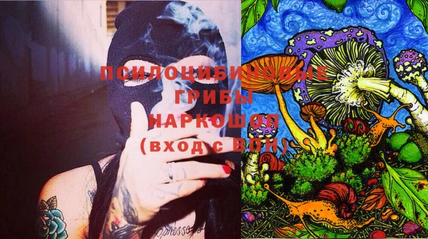 дурь Наволоки