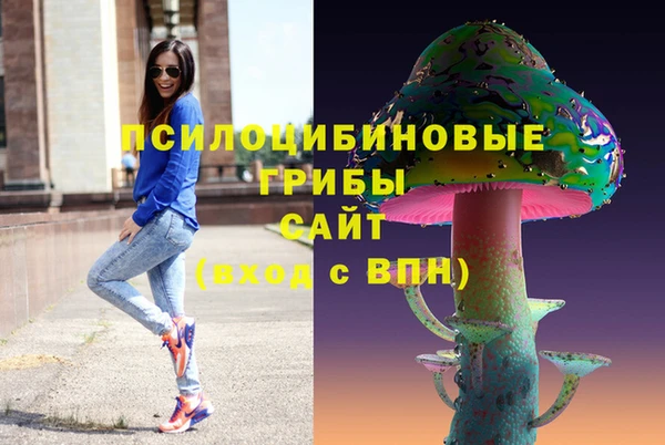 мяу мяу мука Надым