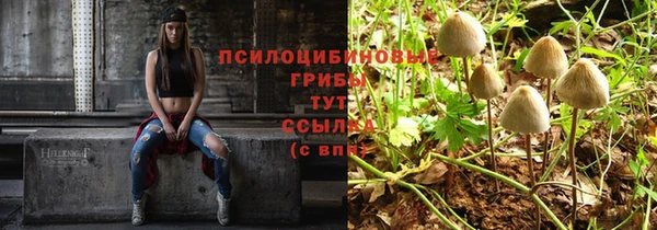 МДПВ Нефтекумск