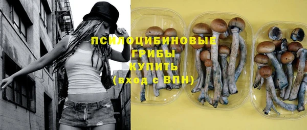 мяу мяу мука Надым