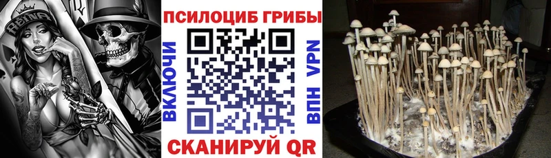 где купить наркоту  Кизел  Псилоцибиновые грибы ЛСД 