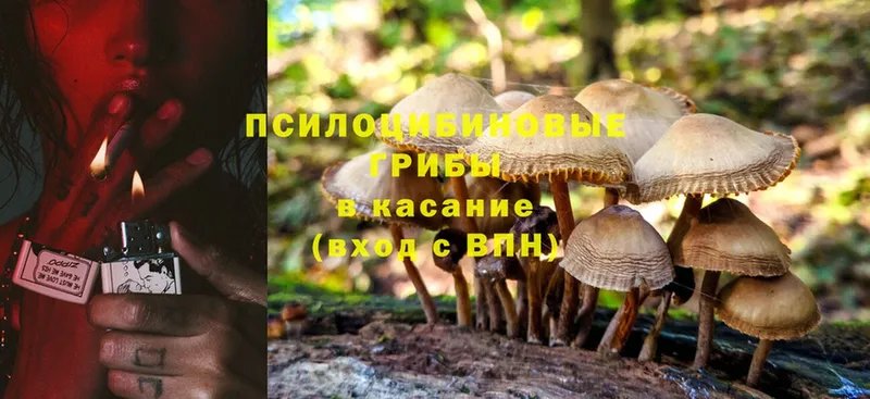 ОМГ ОМГ сайт  Кизел  Галлюциногенные грибы MAGIC MUSHROOMS 