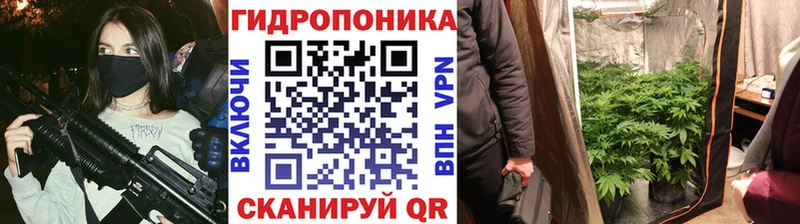 МЕГА зеркало  Кизел  Бошки марихуана OG Kush 